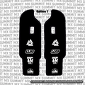 DNM Fork Guard Decal