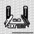 EXT Ferro Fork Tube Decal
