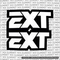 EXT Fork Tube Decal